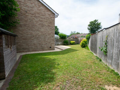 Picture 11